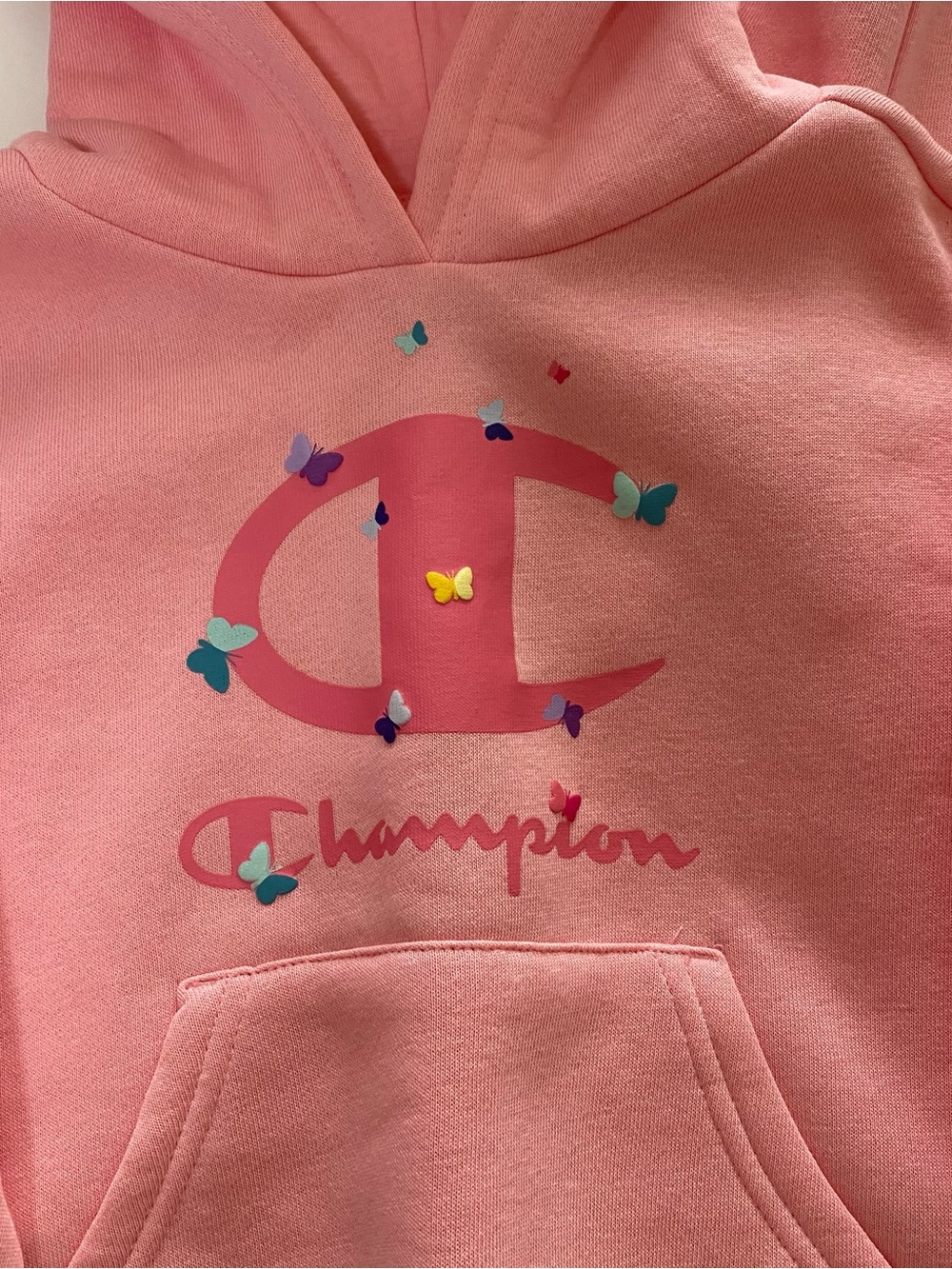 Champion Pink Kids Hoodie & Sweatpants Set with Butterfly Accents - Picture 2 of 8